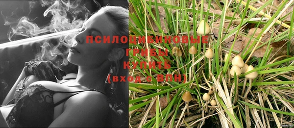 метадон Арсеньев