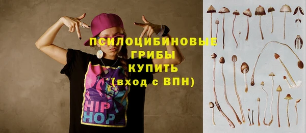 кокс Аркадак